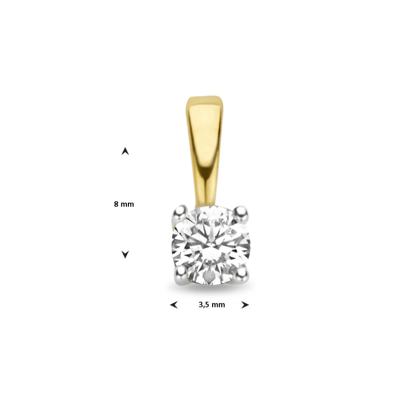 14-karaat-bicolor-hanger-met-diamant-0-15-crt-8-x-3-5-mm