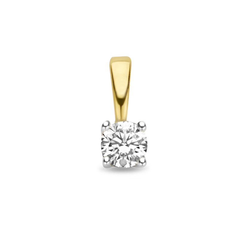 14-karaat-bicolor-hanger-met-diamant-0-15-crt-8-x-3-5-mm
