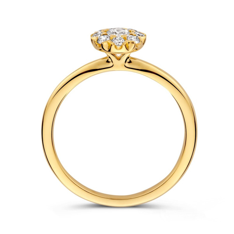 14-karaat-gouden-bloemvormige-entourage-ring-met-diamanten-0-41-crt-8-mm-breed