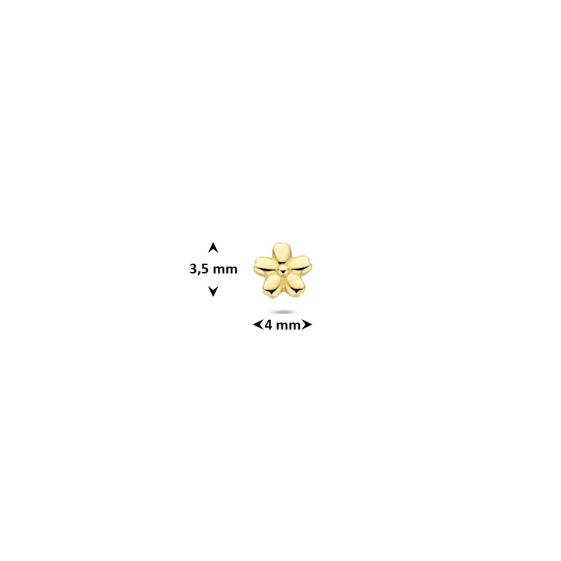 14-karaat-gouden-flatback-oorpiercing-met-bloem-glanzend-3-5-mm-hoog-per-stuk