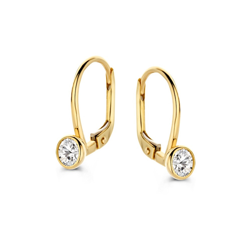 14-karaat-gouden-oorbellen-met-zirkonia-stenen-van-5-mm-hoogte-15-mm