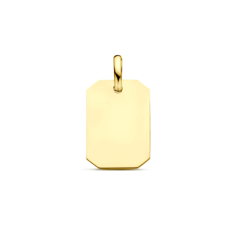 9-karaat-goudkleurige-graveerhanger-met-rechthoekige-vorm-11-mm-breed-hoogte-20-mm