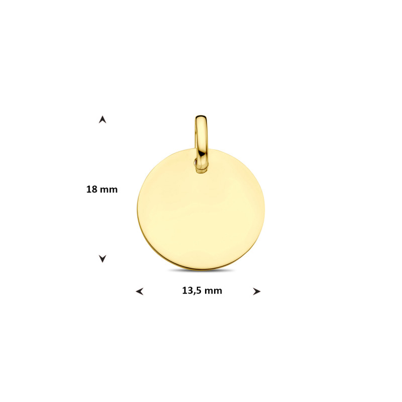 9-karaat-goudkleurige-graveerhanger-rond-13-5-mm-breed-hoogte-18-mm