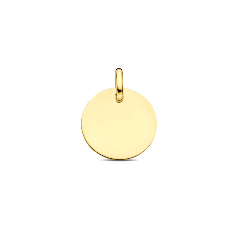 9-karaat-goudkleurige-graveerhanger-rond-13-5-mm-breed-hoogte-18-mm