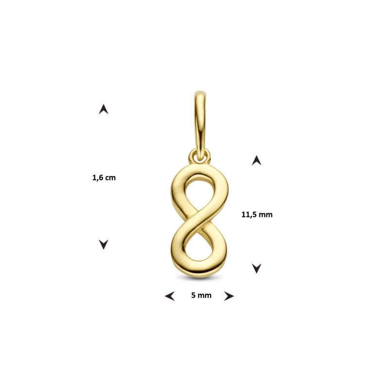 9-karaat-goudkleurige-hanger-met-infinity-teken-5-mm-breed-hoogte-16-mm