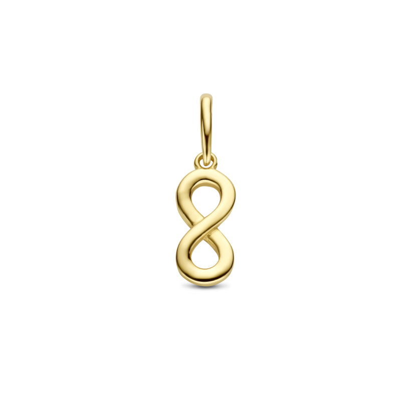 9-karaat-goudkleurige-hanger-met-infinity-teken-5-mm-breed-hoogte-16-mm