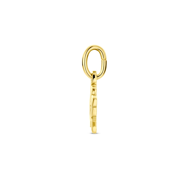 9-karaat-goudkleurige-hanger-met-klavertje-vier-6-mm-breed-hoogte-7-5-mm