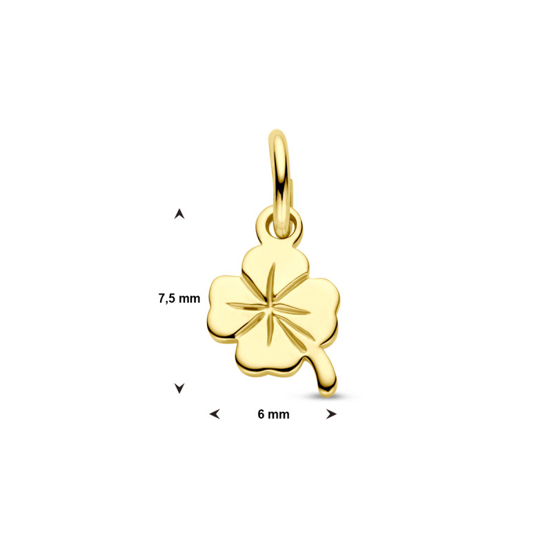 9-karaat-goudkleurige-hanger-met-klavertje-vier-6-mm-breed-hoogte-7-5-mm