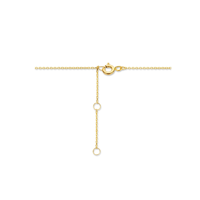 9-karaat-goudkleurige-ketting-met-transparante-zirkonia-hanger-0-8-mm-breed-lengte-40-42-44-cm