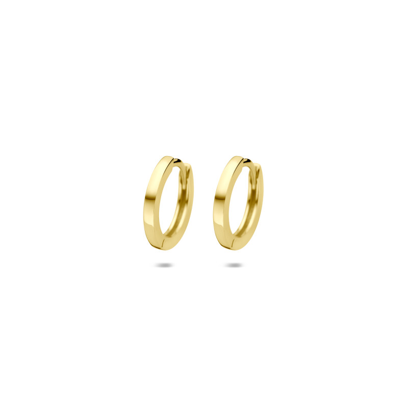 9-karaat-goudkleurige-oorringen-glanzend-afgewerkt-1-5-mm-breed-diameter-11-5-mm