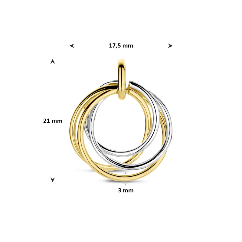 bicolor-hanger-14-karaat-met-vier-cirkels-17-5-mm-breed-hoogte-21-mm
