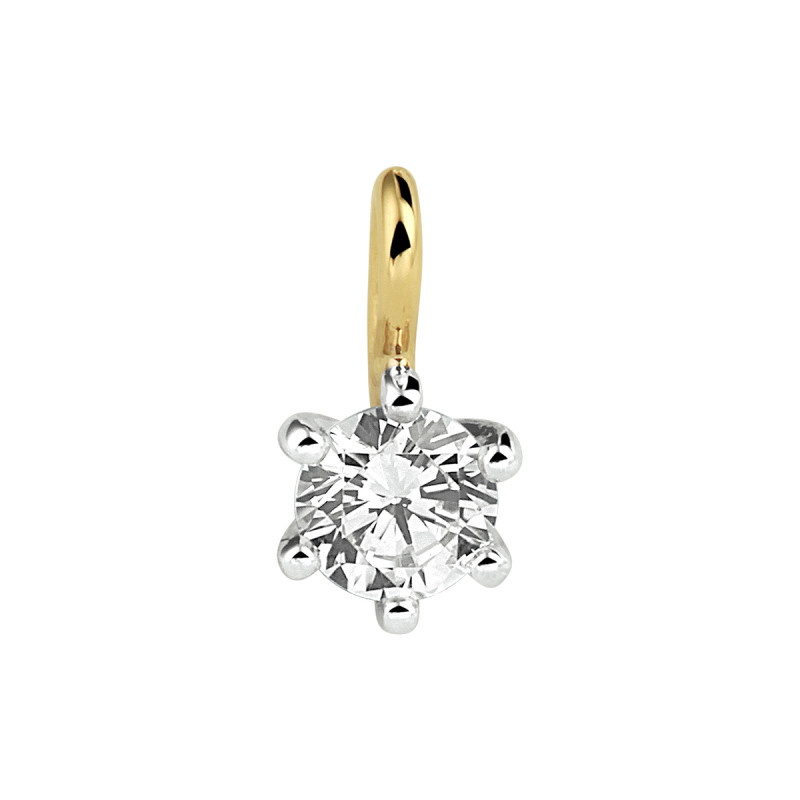 bicolor-hanger-met-zirkonia-9-x-5-mm