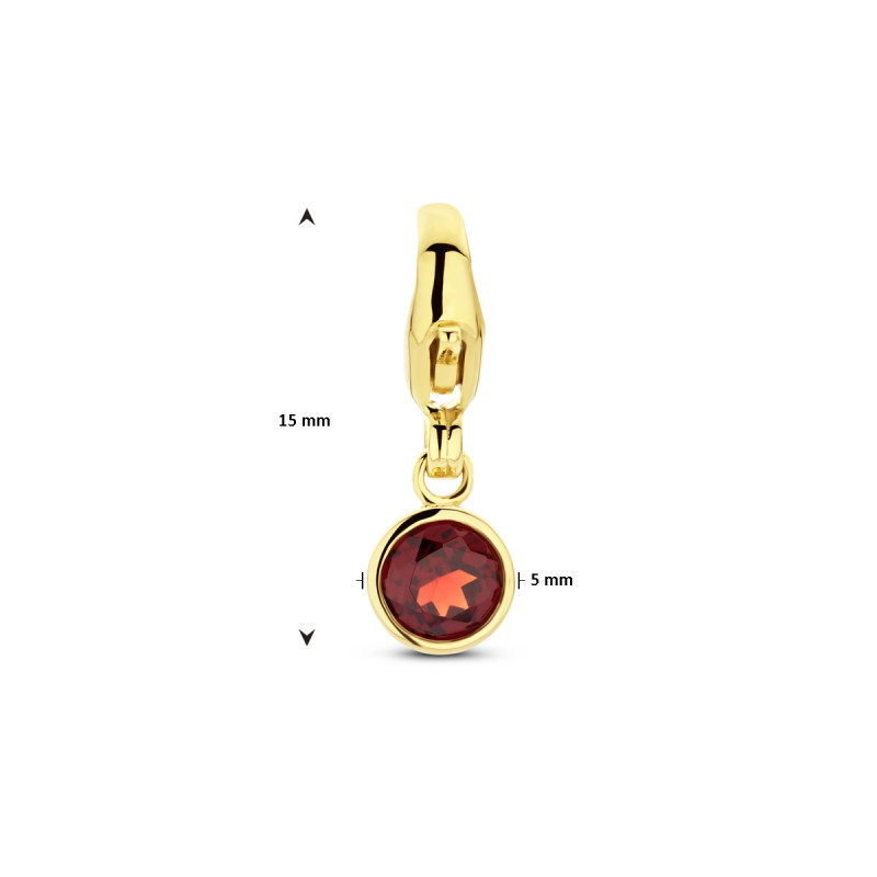 gouden-bedel-voor-aan-armband-met-geboortesteen