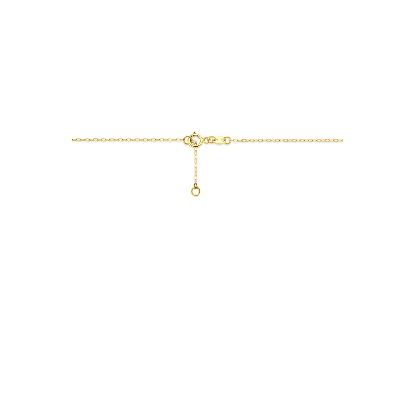 gouden-ketting-met-hartvormige-hanger-en-glanzende-anker-schakel-lengte-40-42-cm