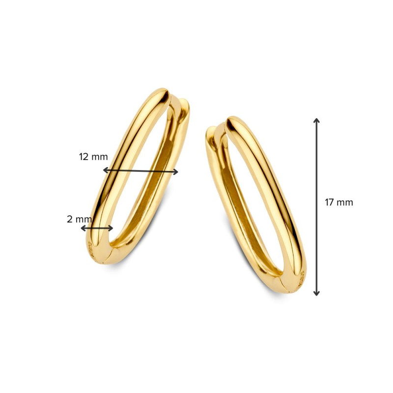 gouden-ovale-oorringen-2-mm-breed-hoogte-17-mm