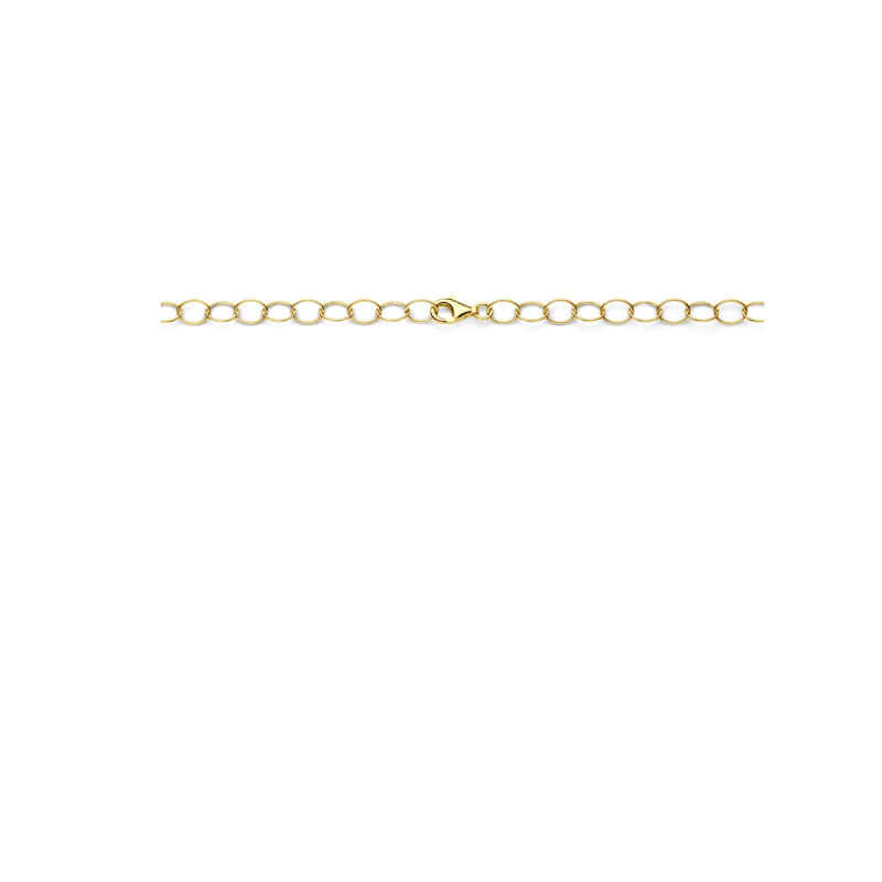 goudkleurige-ketting-met-anker-schakels-in-diverse-groottes-11-mm-breed-lengte-45-cm