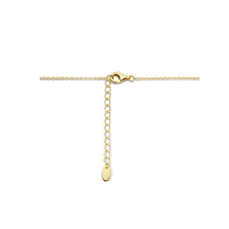 goudkleurige-ketting-met-ronde-gehamerde-hanger-12-mm-lengte-42-46-cm
