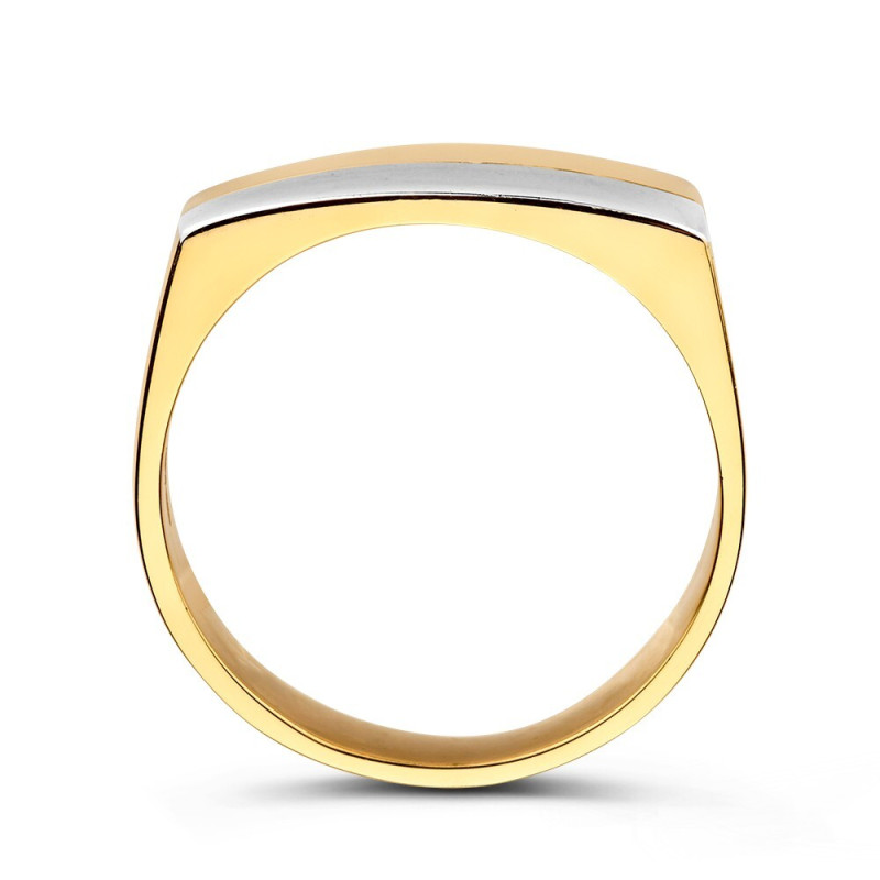 heren-zegelring-met-bicolor-rechthoek-van-10-mm-breed