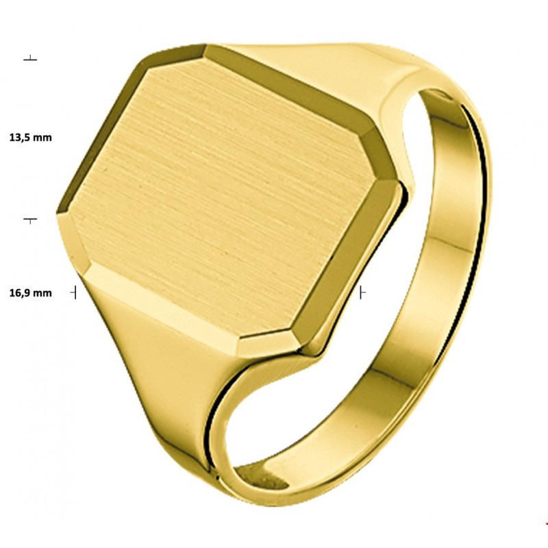 Airco Willen bestrating Mooie 14 karaat gouden zegelring heren massief | Mostert Juweliers