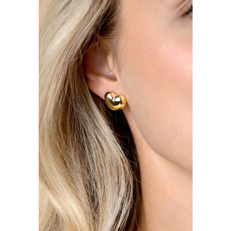 zinzi-liekes-favorieten-zio2672g-goudkleurige-hartvormige-oorstekers-diameter-13-mm