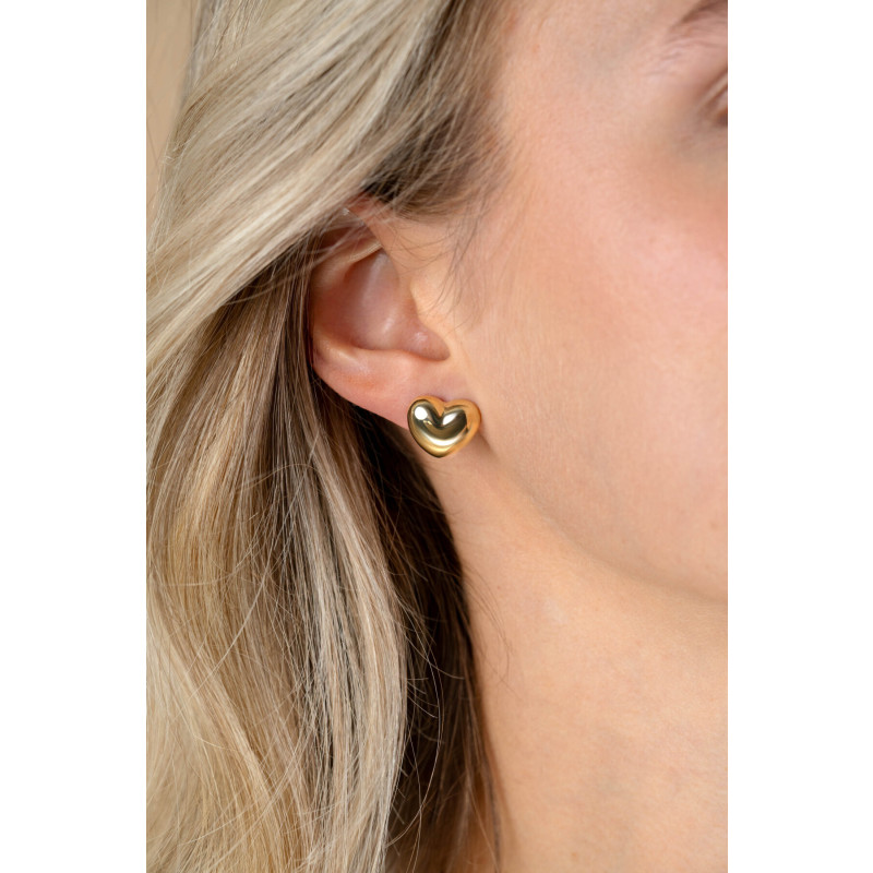 zinzi-liekes-favorieten-zio2672g-goudkleurige-hartvormige-oorstekers-diameter-13-mm
